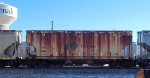 CNPX 3482
